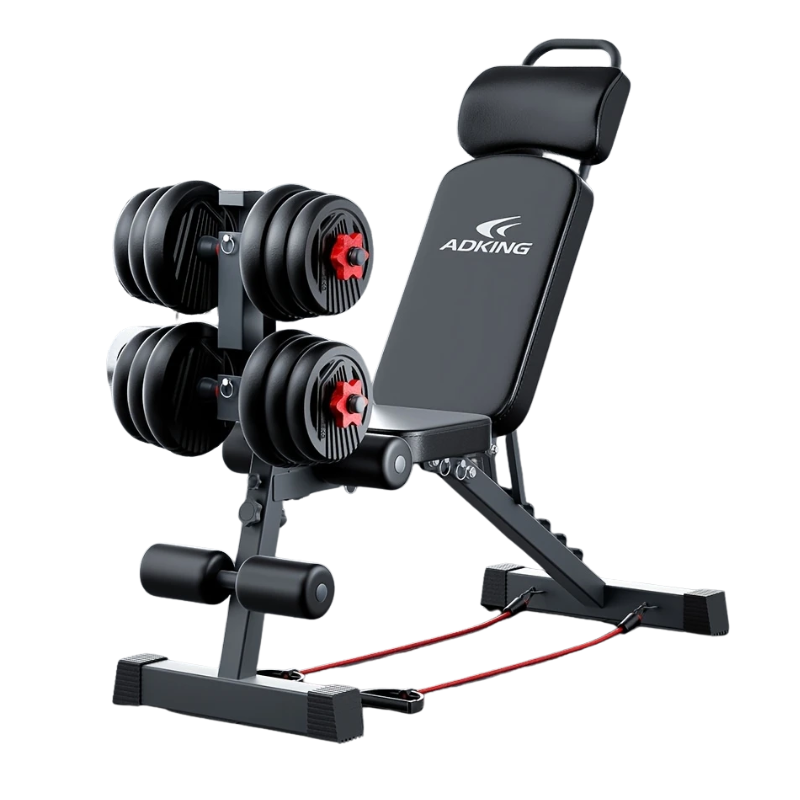 Dumbbell Sit-Up Bench Home Gym Equipment